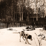 Верякуши, около дома Кикиных. 1904-1905. 